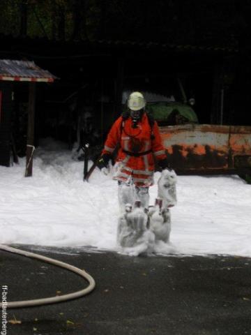 16102008-Erikabruecke-IMG_1230