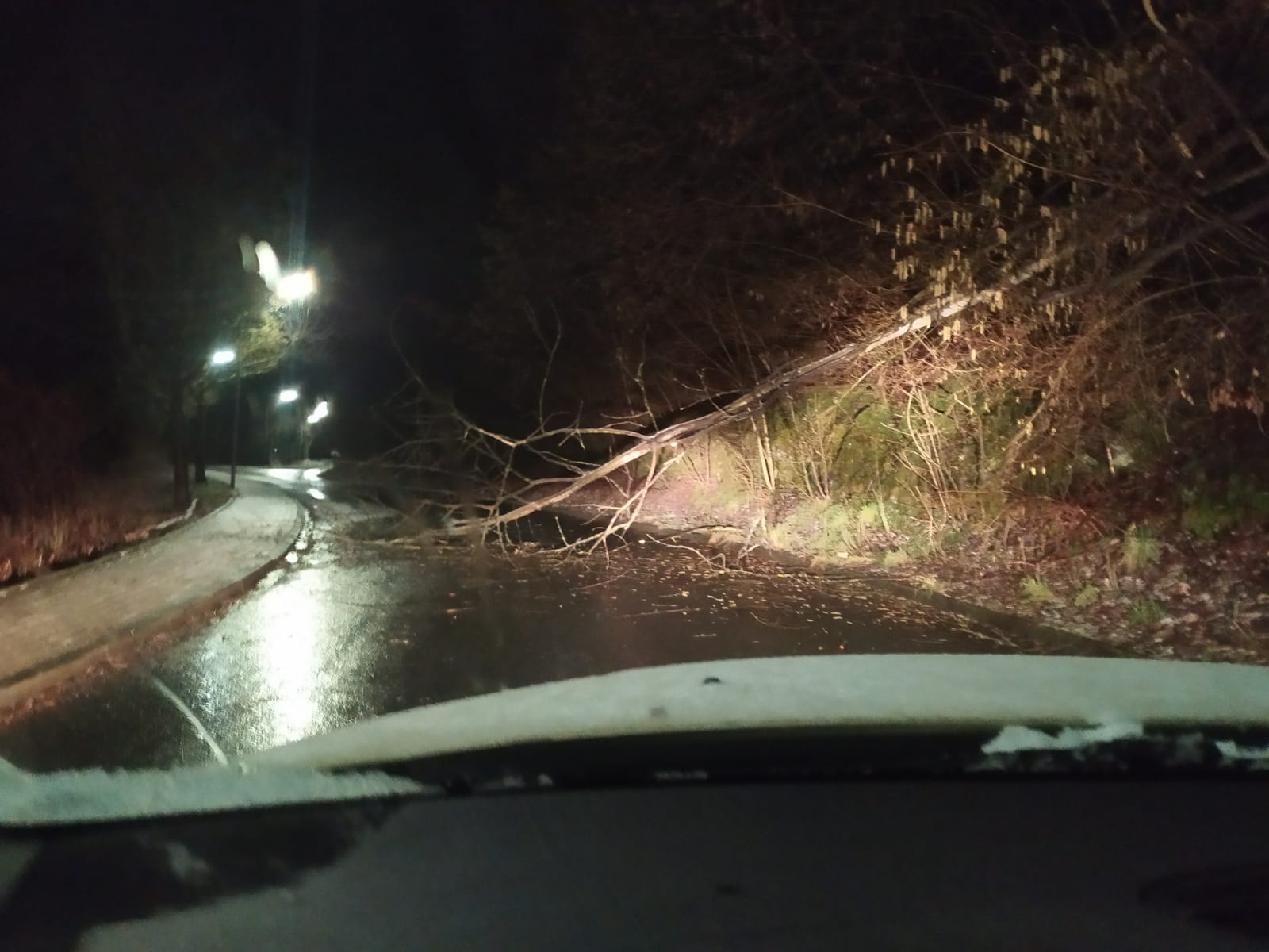 Heikenbergstrasse 11022020