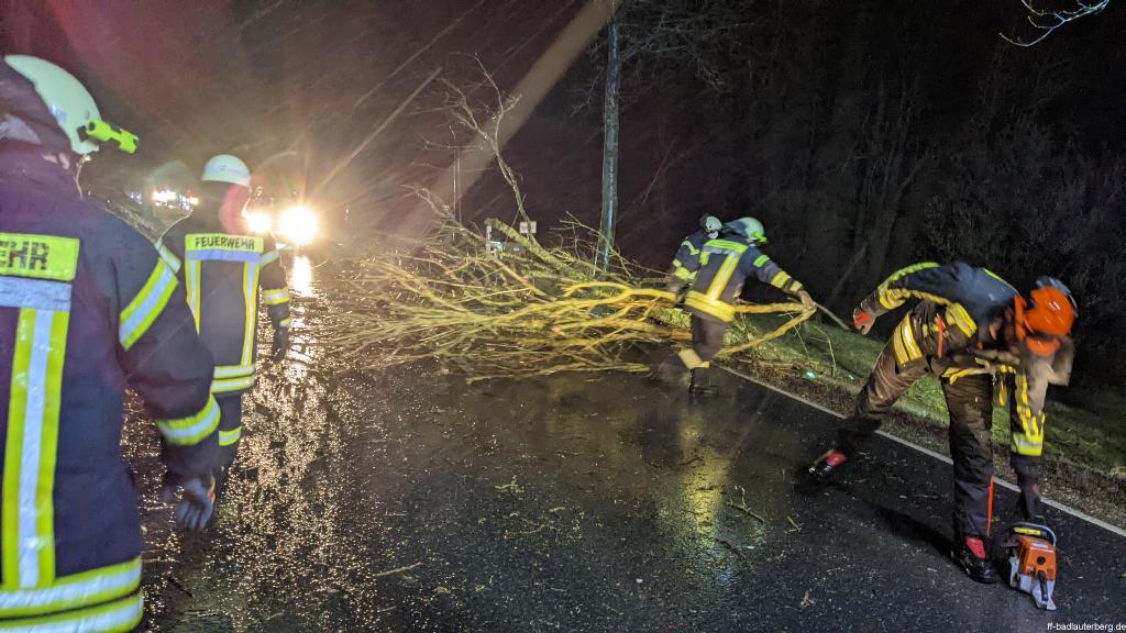 PXL 20220217 035821215.MP