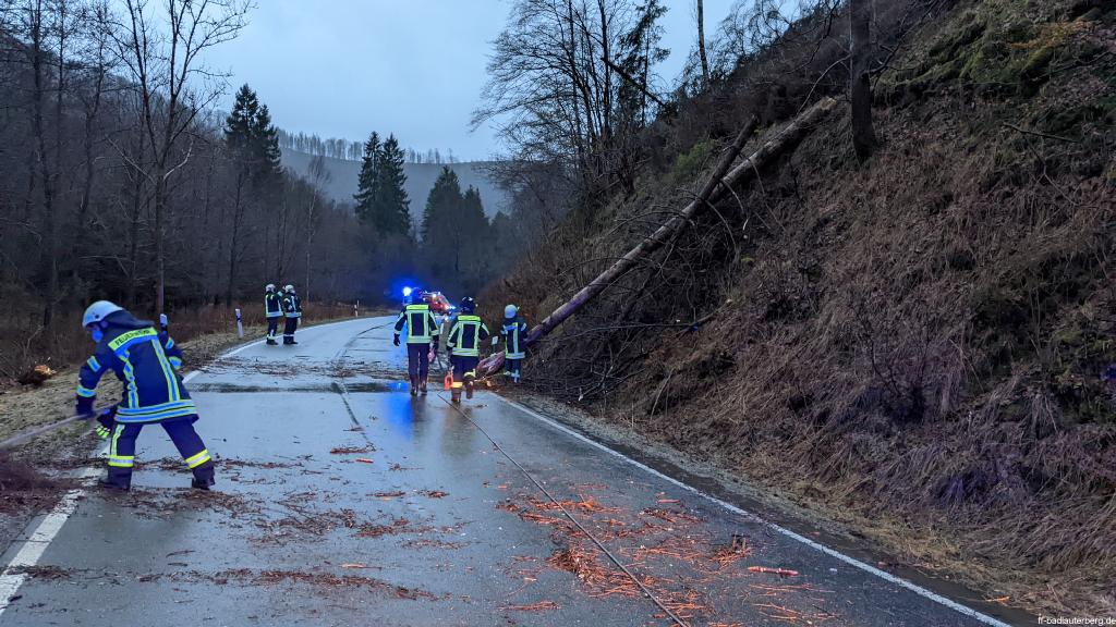 PXL 20220217 062752504