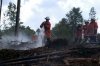 08062008Waldbrand_Bockelnhagen1